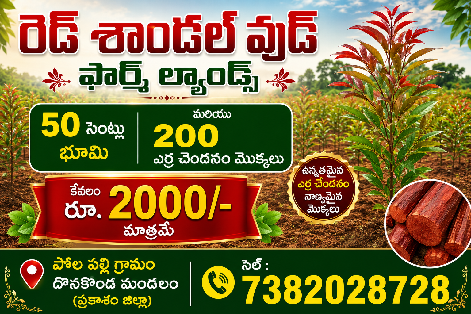 Red Sandal Farm Land 50 Cents 200 Plants