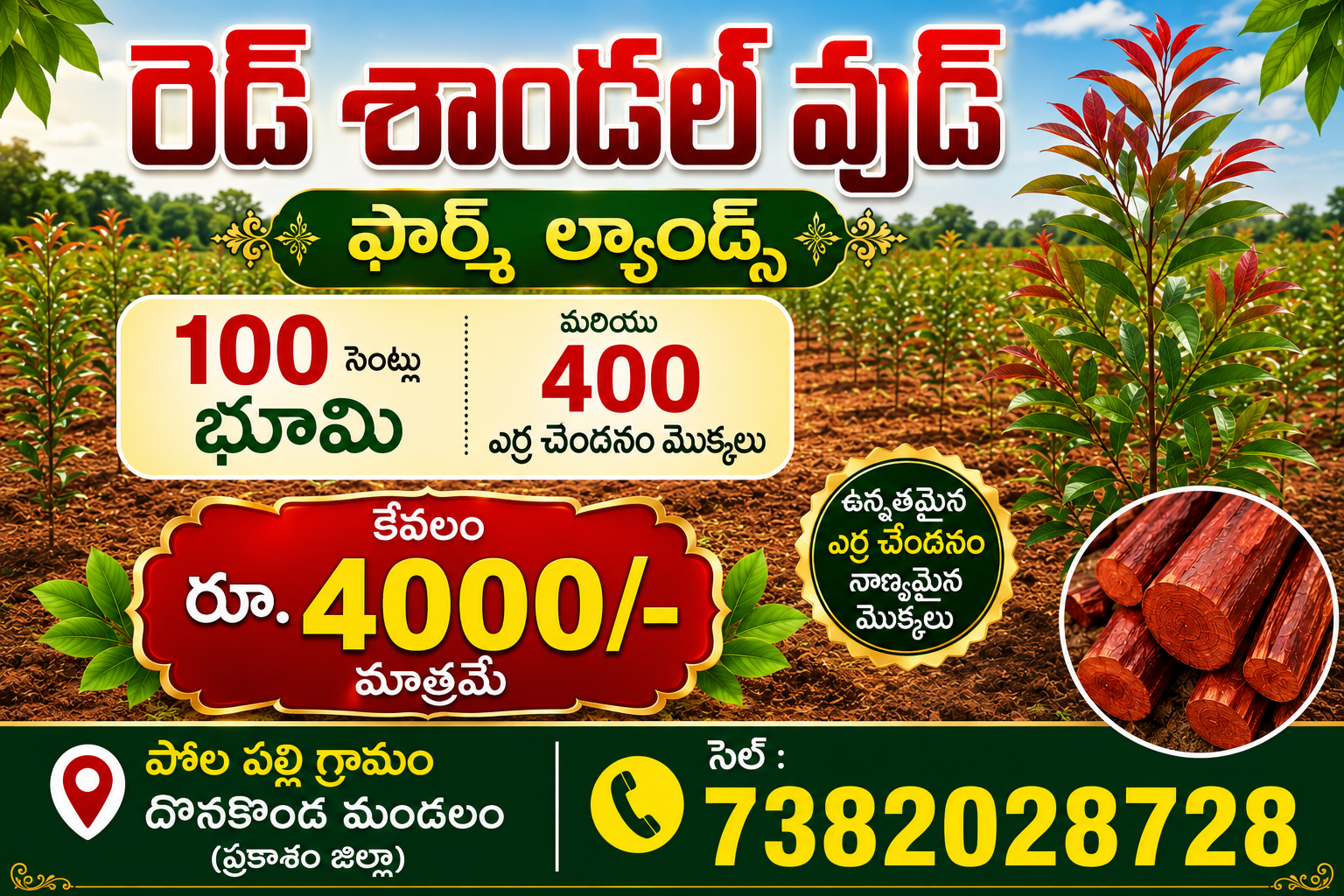 Red Sandal Farm Land 100 Cents 400 Plants